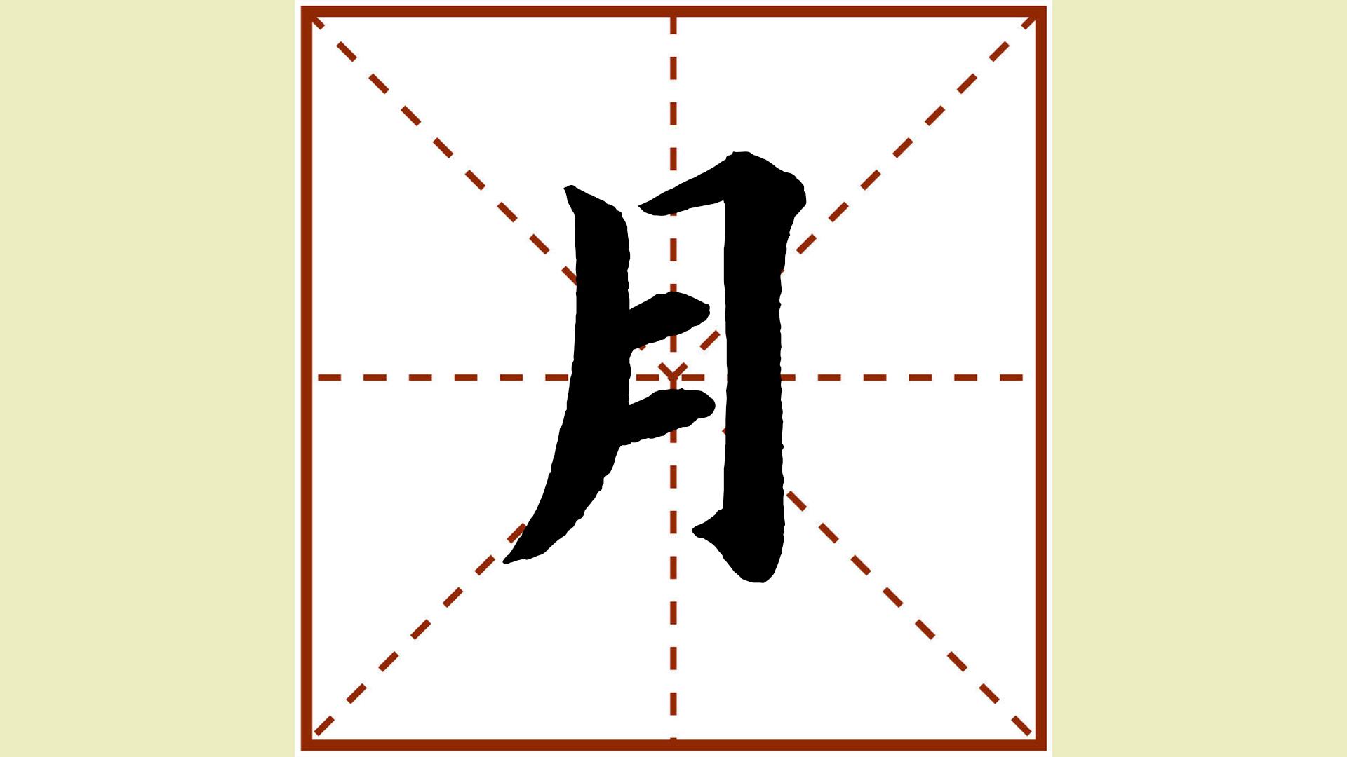 科普展现:月字五行（月字五行属什么属性）