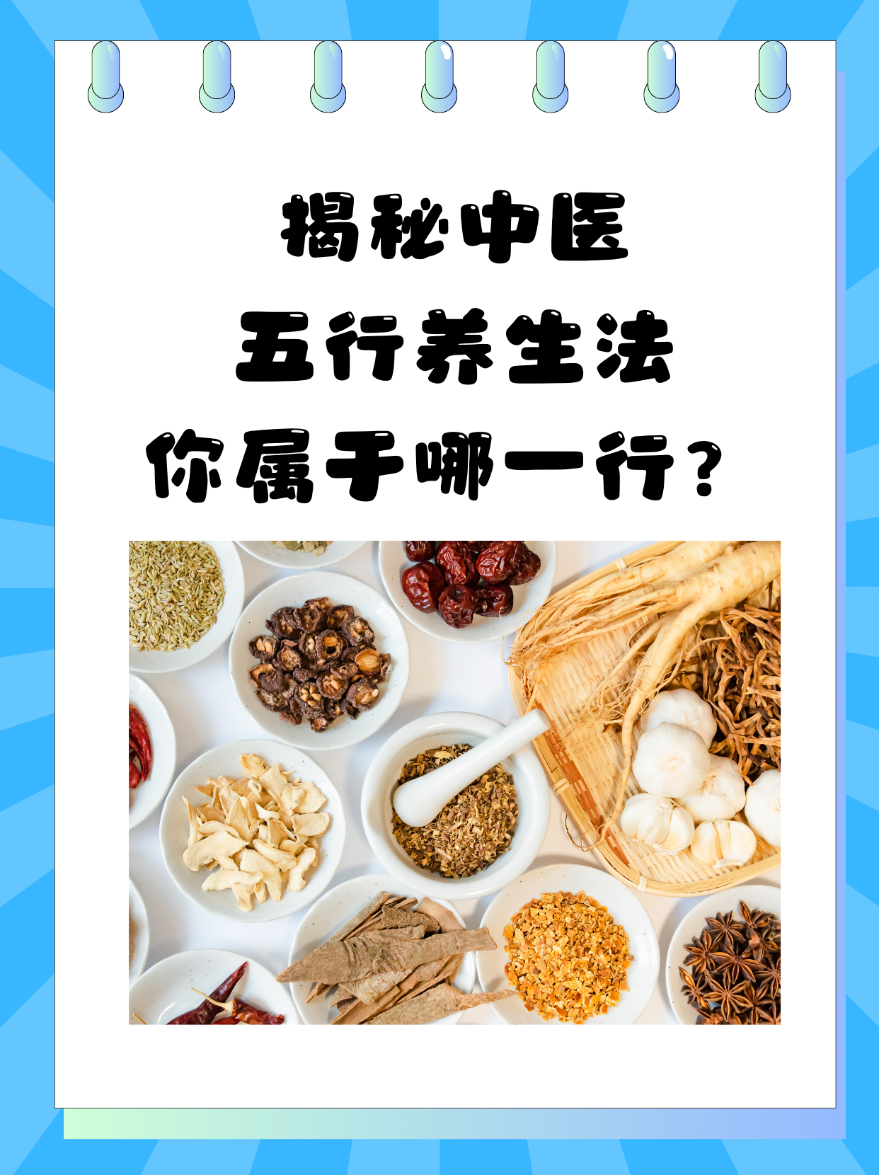 下载中心 第28页