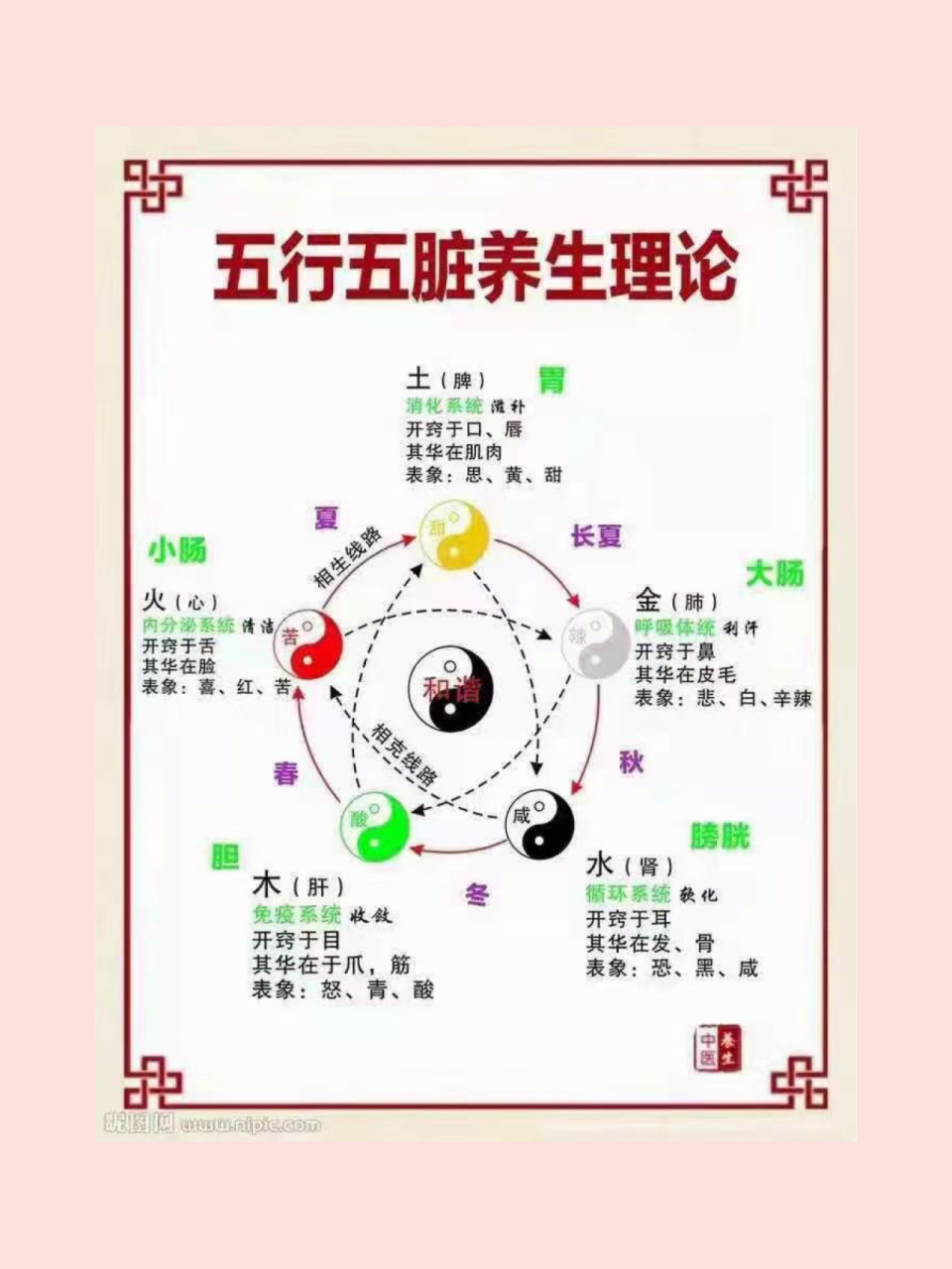 五脏对应五行