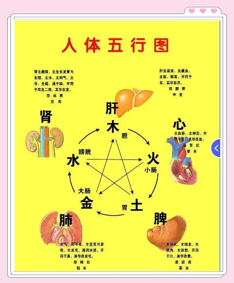 五行健康操分钟