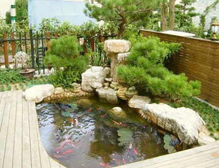 房屋院子风水禁忌