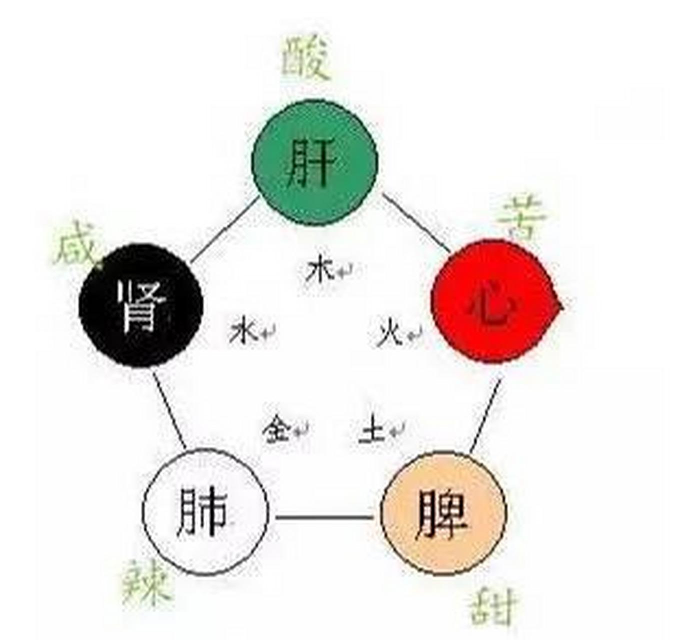 肝对应五行