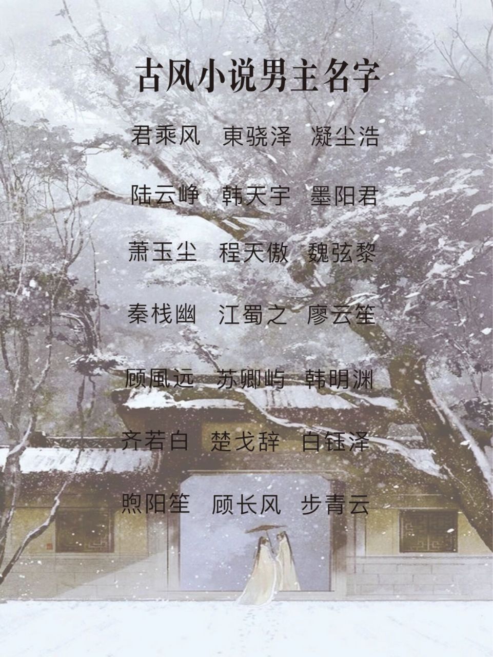 小说男主名字