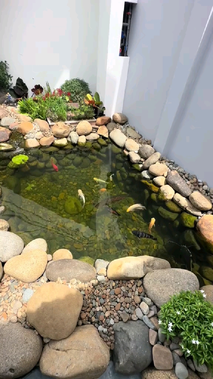 庭院鱼池风水禁忌