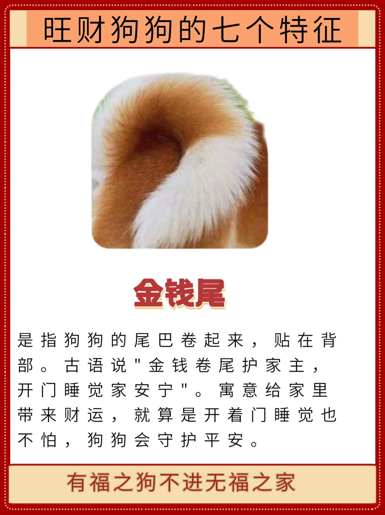 科普展现:解养宠物风水（养动物风水）