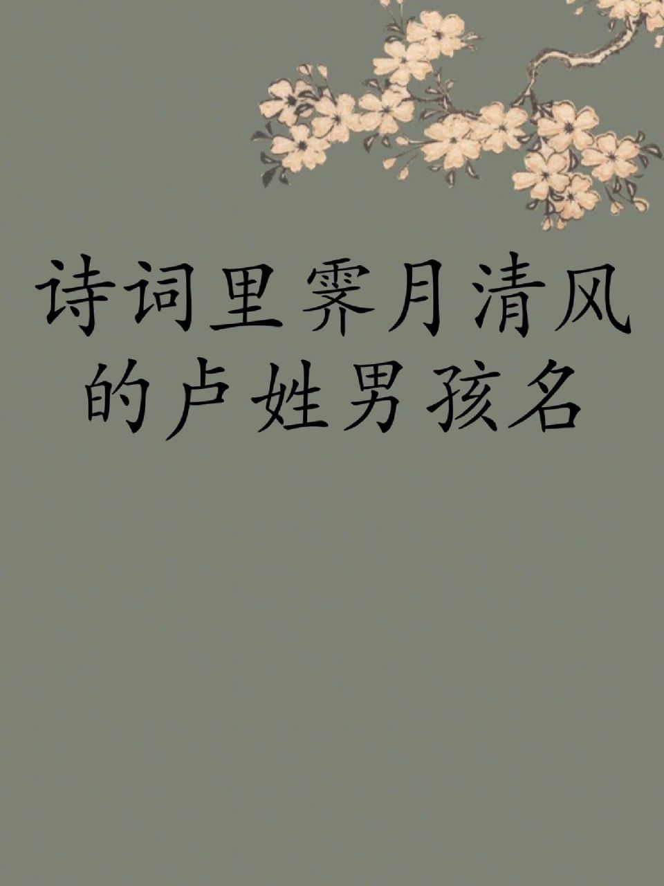 卢姓男孩名字大全