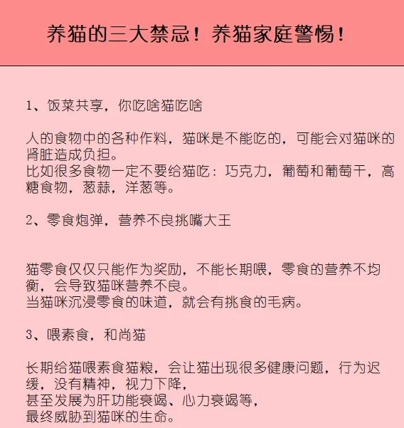 家里养猫风水禁忌