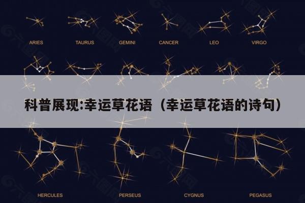 科普展现:幸运草花语（幸运草花语的诗句）