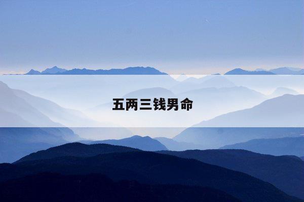 五两三钱男命