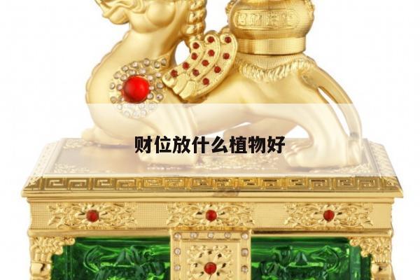 财位放什么植物好