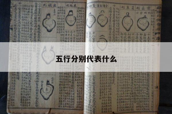 五行分别代表什么