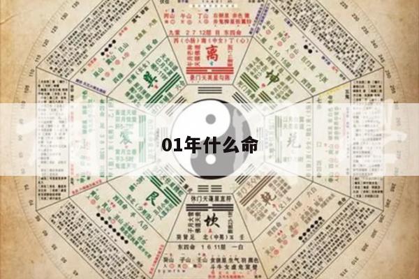 01年什么命