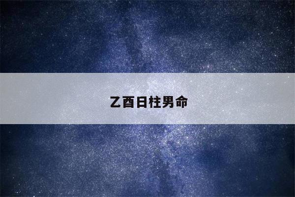 乙酉日柱男命