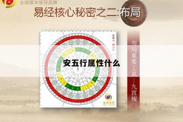安五行属性什么