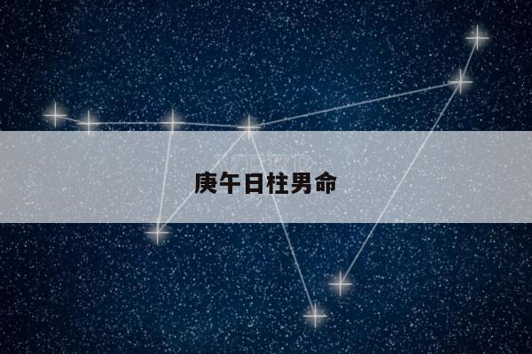 庚午日柱男命