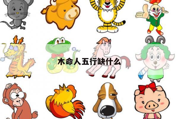 木命人五行缺什么