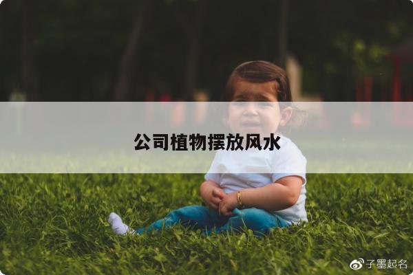 公司植物摆放风水