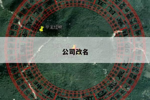 公司改名