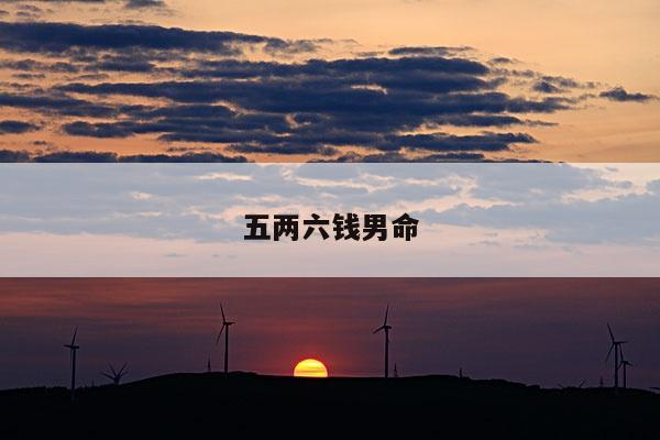 五两六钱男命