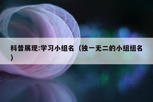 科普展现:学习小组名（独一无二的小组组名）