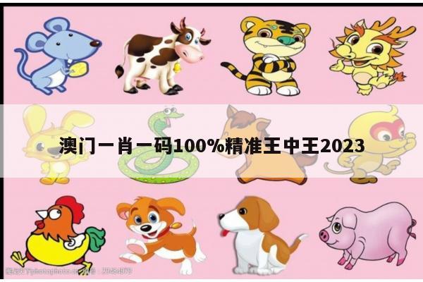 澳门一肖一码100%精准王中王2023