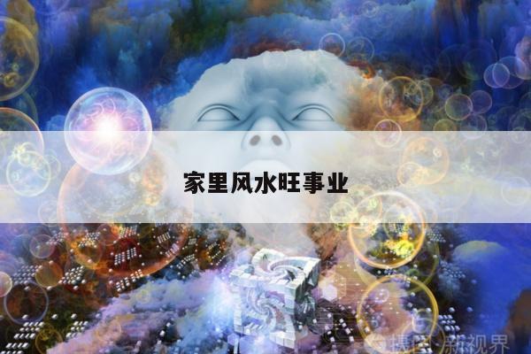 家里风水旺事业