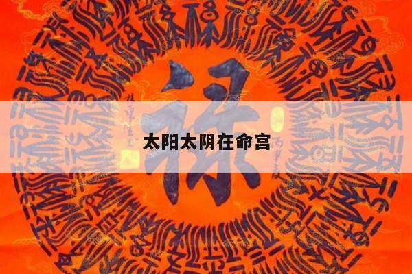 太阳太阴在命宫