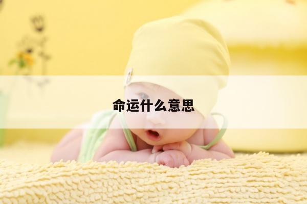 命运什么意思