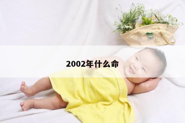 2002年什么命