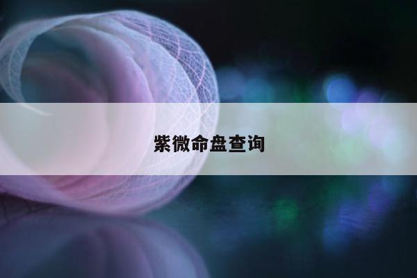紫微命盘查询