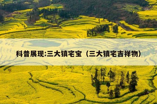 科普展现:三大镇宅宝（三大镇宅吉祥物）