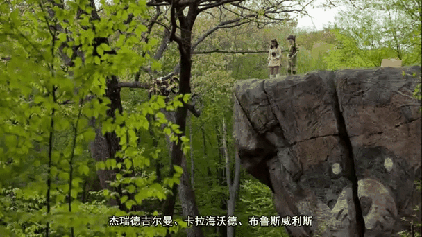 月亮升起之王国,月亮升起之王国在线观看
