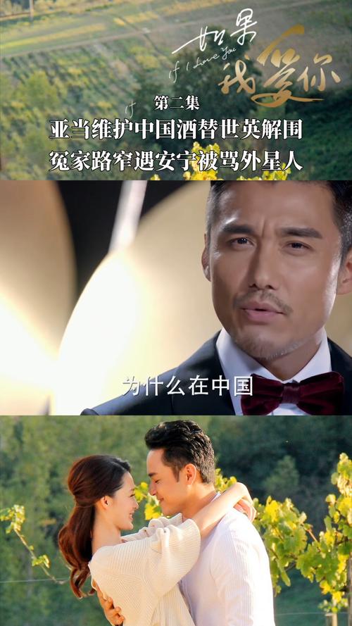 如果我爱你tv版电视剧免费完整版,如果我爱你电视剧免费版视频
