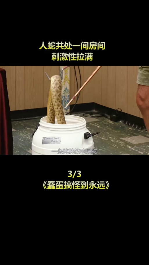 蠢蛋搞怪秀2,蠢蛋搞怪秀2.5