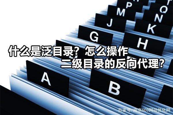 泛目录程序二开,2021泛目录程序