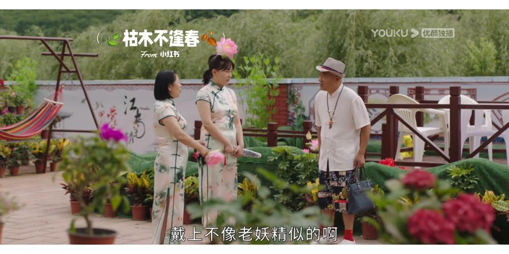 江南爱情故事,江南爱情故事演员表