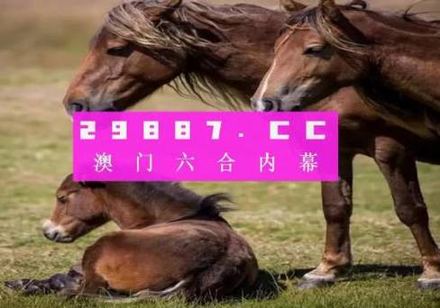 澳门今日特马,澳门今日特马开什么号