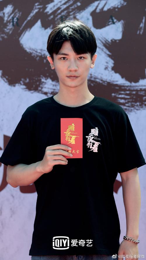 暗夜将至电视剧免费观看高清,暗夜将至电视剧免费观看高清版