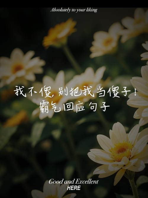谁也不是傻子,谁也不是傻子看透不说透文案