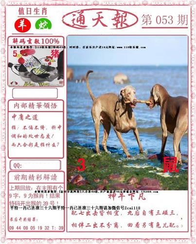 大陆通天报,大陆通天报一图库大全