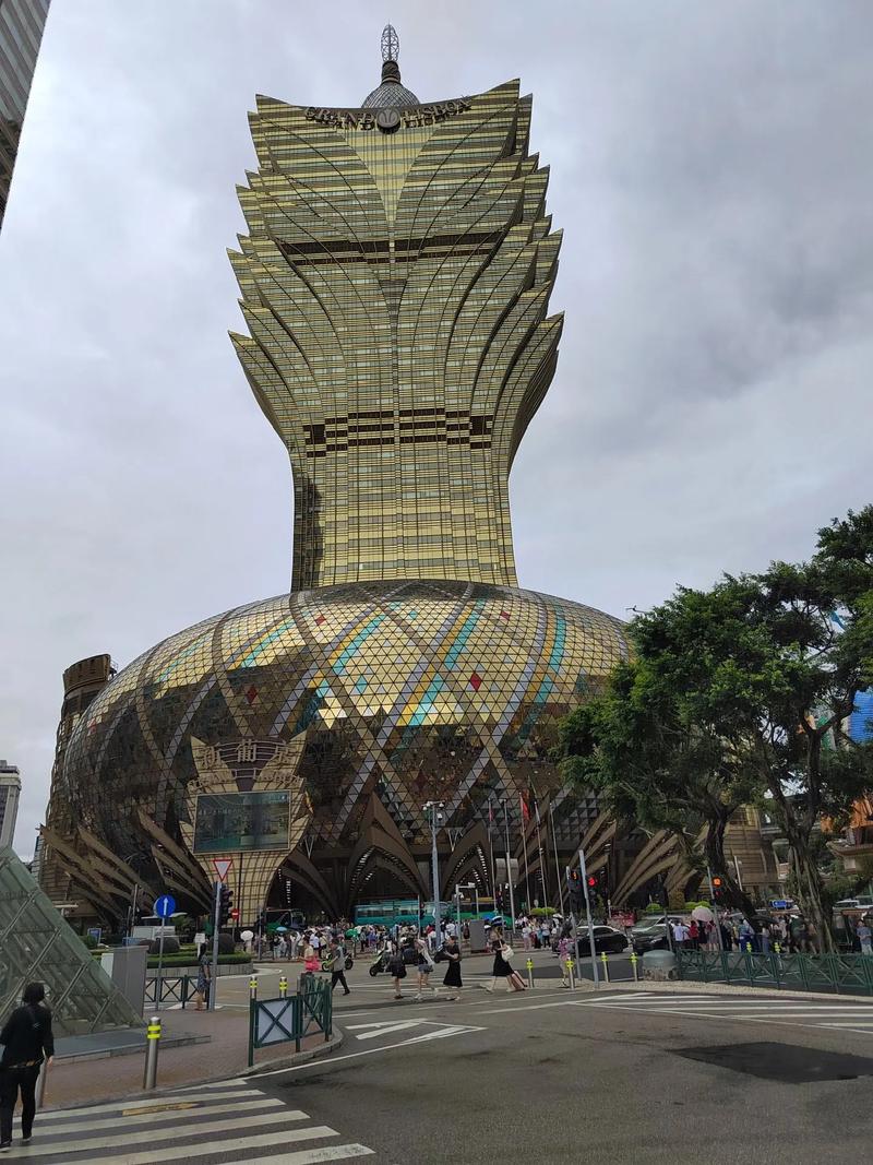 澳门九龙内部资料公开,澳门最精准正最精准龙门