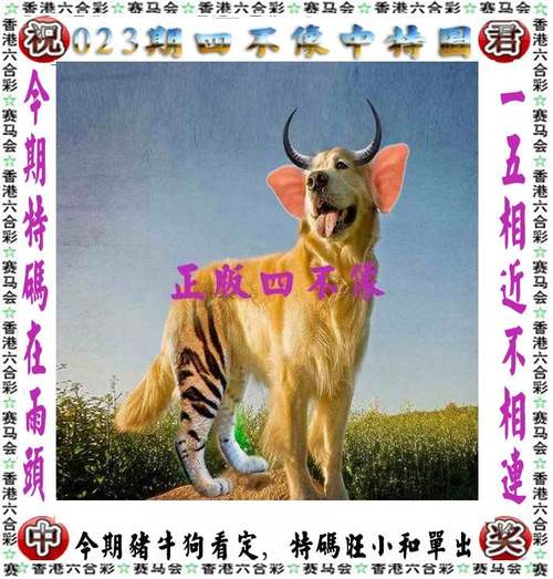 澳门今晚特马资料查,今晚澳门9点35分开什么