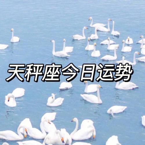 天秤女运势今日最准,天秤女运势今日最准的一天