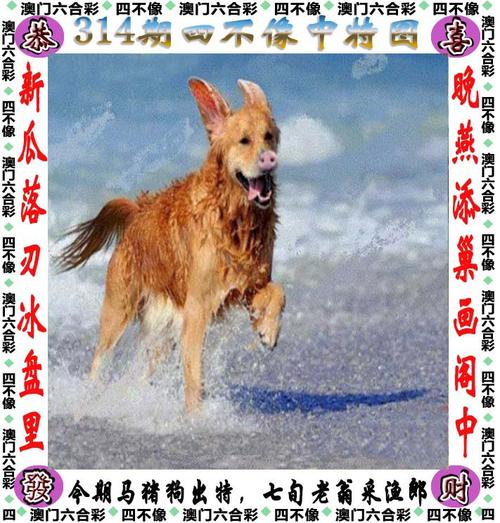 2021澳门六合免费资料,