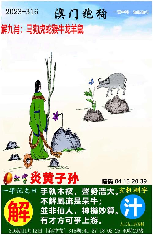 澳门论坛六肖6码三年老玩家揭秘,